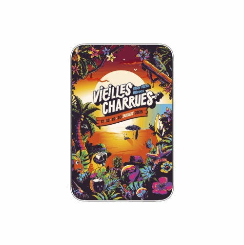 Batterie externe MANA Vieilles Charrues – Image 7
