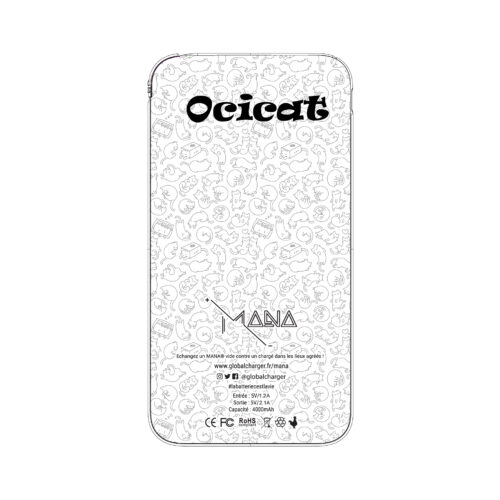 Ocicat – Image 2