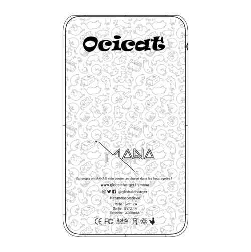 Ocicat – Image 5