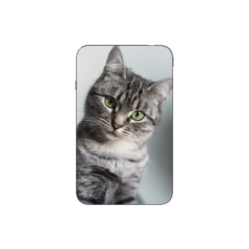 Batterie externe MANA American Shorthair