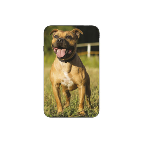 Batterie externe MANA American Staff