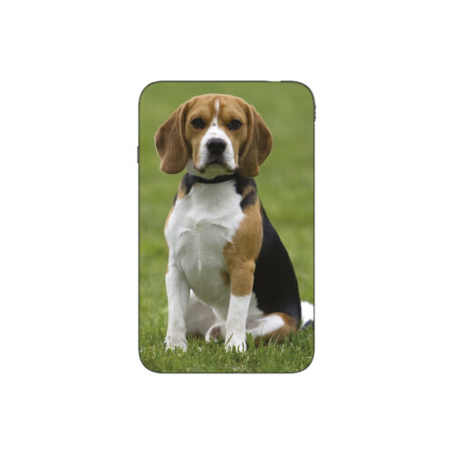 Batterie externe MANA Beagle