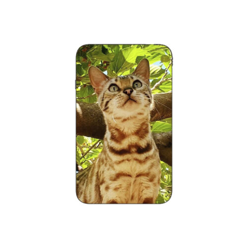 Batterie externe MANA Bengal