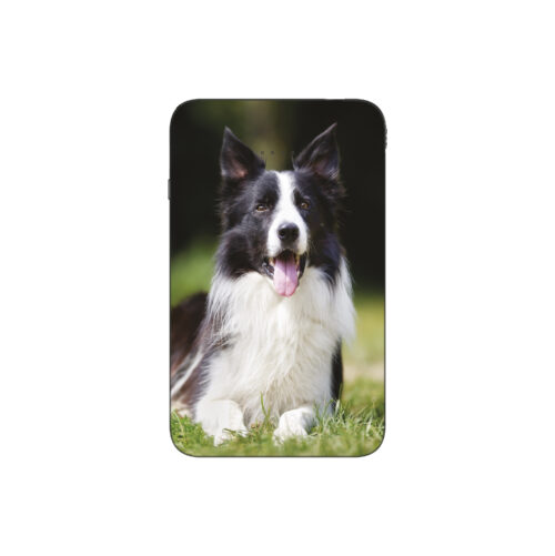 Batterie externe MANA Border Collie