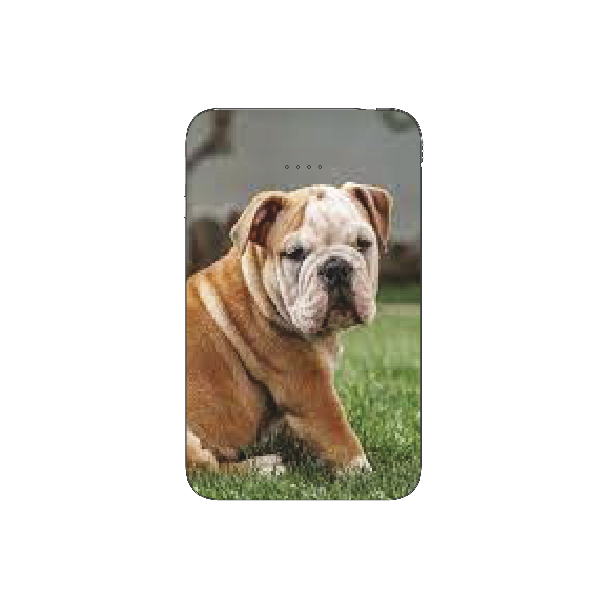 Batterie externe MANA Bouledogue Anglais