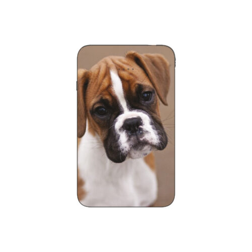 Batterie externe MANA Boxer