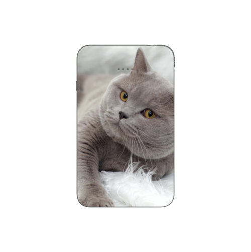 Batterie externe MANA British Shorthair
