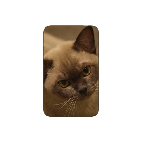 Batterie externe MANA Burmese