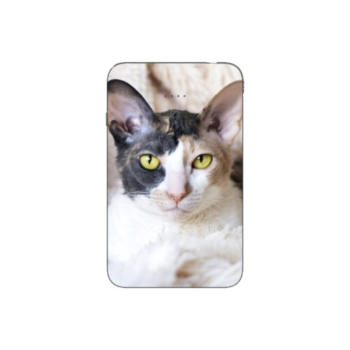 Batterie externe MANA Cornish Rex