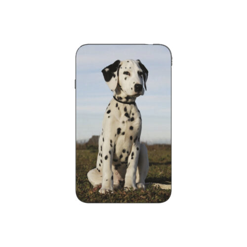 Batterie externe MANA Dalmatien