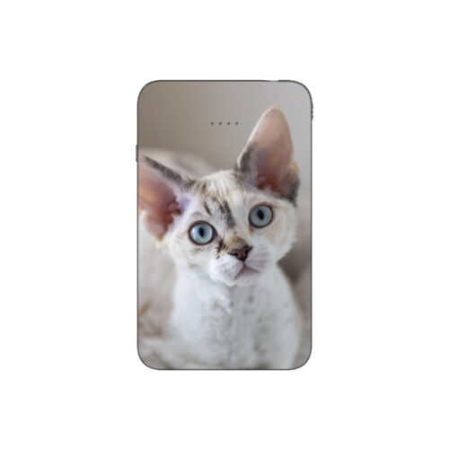 Batterie externe MANA Devon Rex