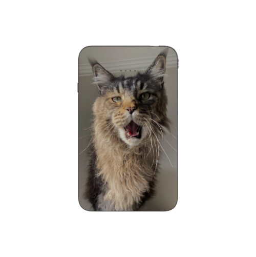 Batterie externe MANA Maine Coon