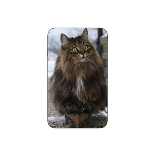 Batterie externe MANA Norvégien