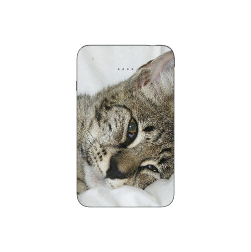 Batterie externe MANA Ocicat