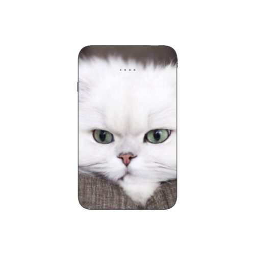 Batterie externe MANA Persan