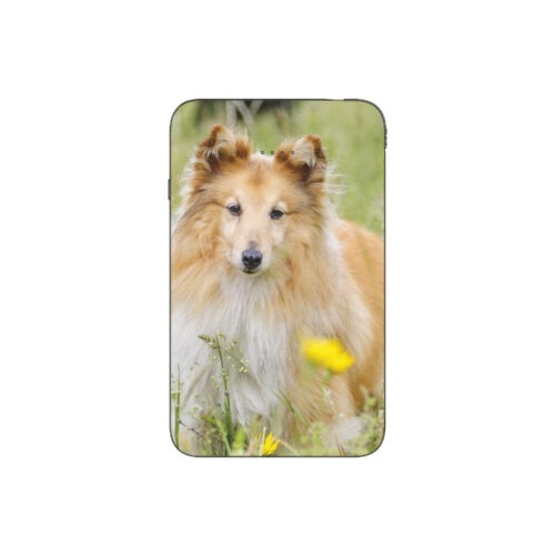 Batterie externe MANA Shetland