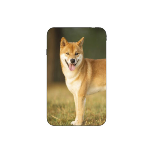 Batterie externe MANA Shiba