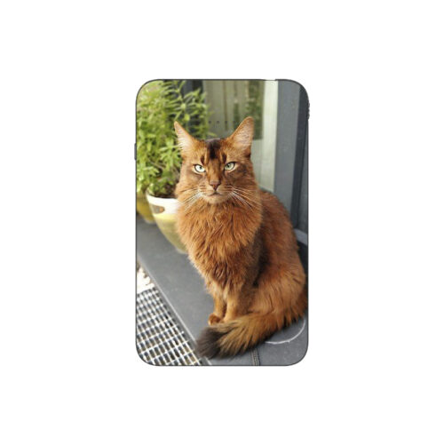 Batterie externe MANA Somali