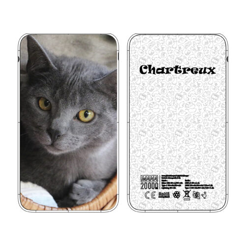 Batterie externe MANA Chartreux