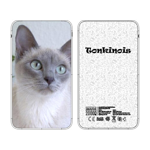 Batterie externe MANA Tonkinois