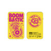 Batterie externe MANA Boombastic – Image 2