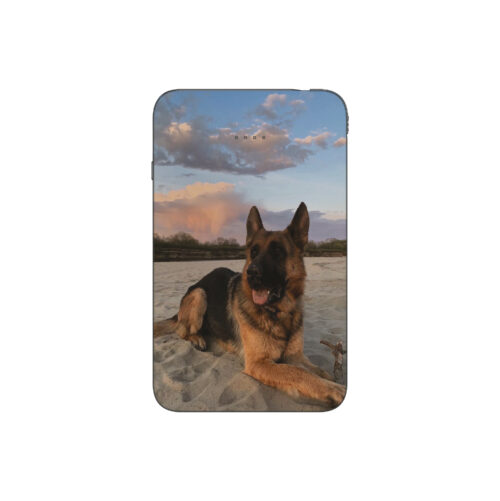 Batterie externe MANA Berger Allemand