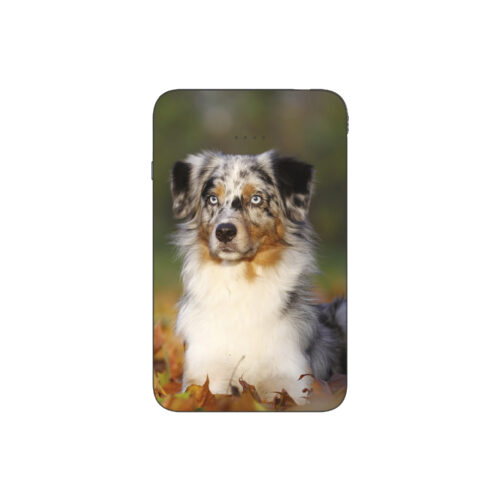 Batterie externe MANA Berger Australien