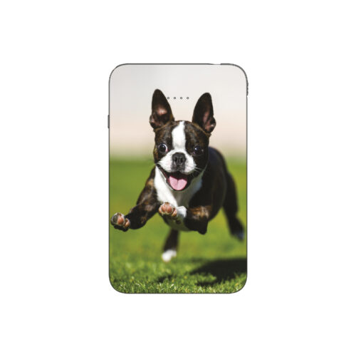 Batterie externe MANA Boston Terrier