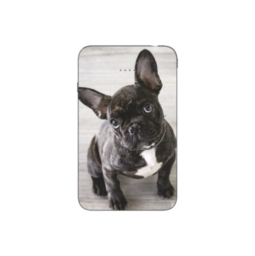 Batterie externe MANA Bouledogue Français