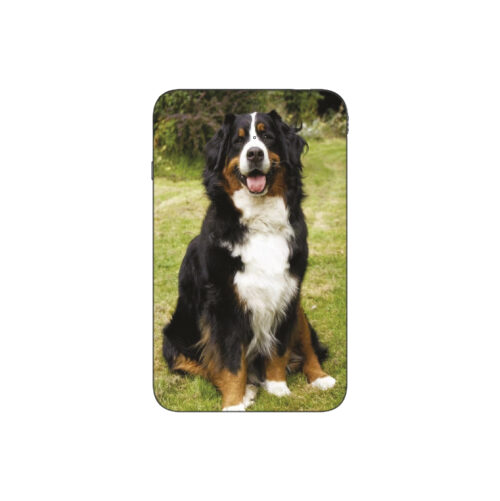 Batterie externe MANA Bouvier Bernois