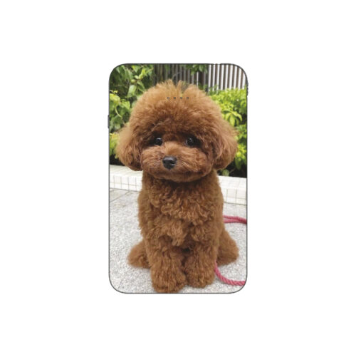 Batterie externe MANA Caniche