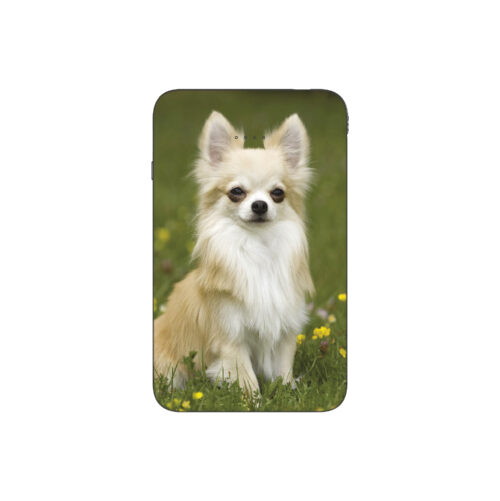 Batterie externe MANA Chihuahua