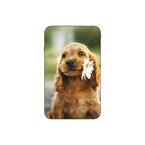 Batterie externe MANA Cocker