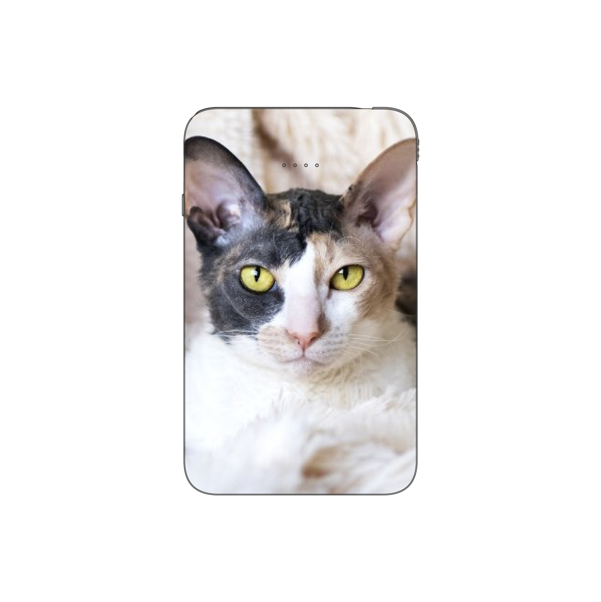 Batterie externe MANA Cornish Rex