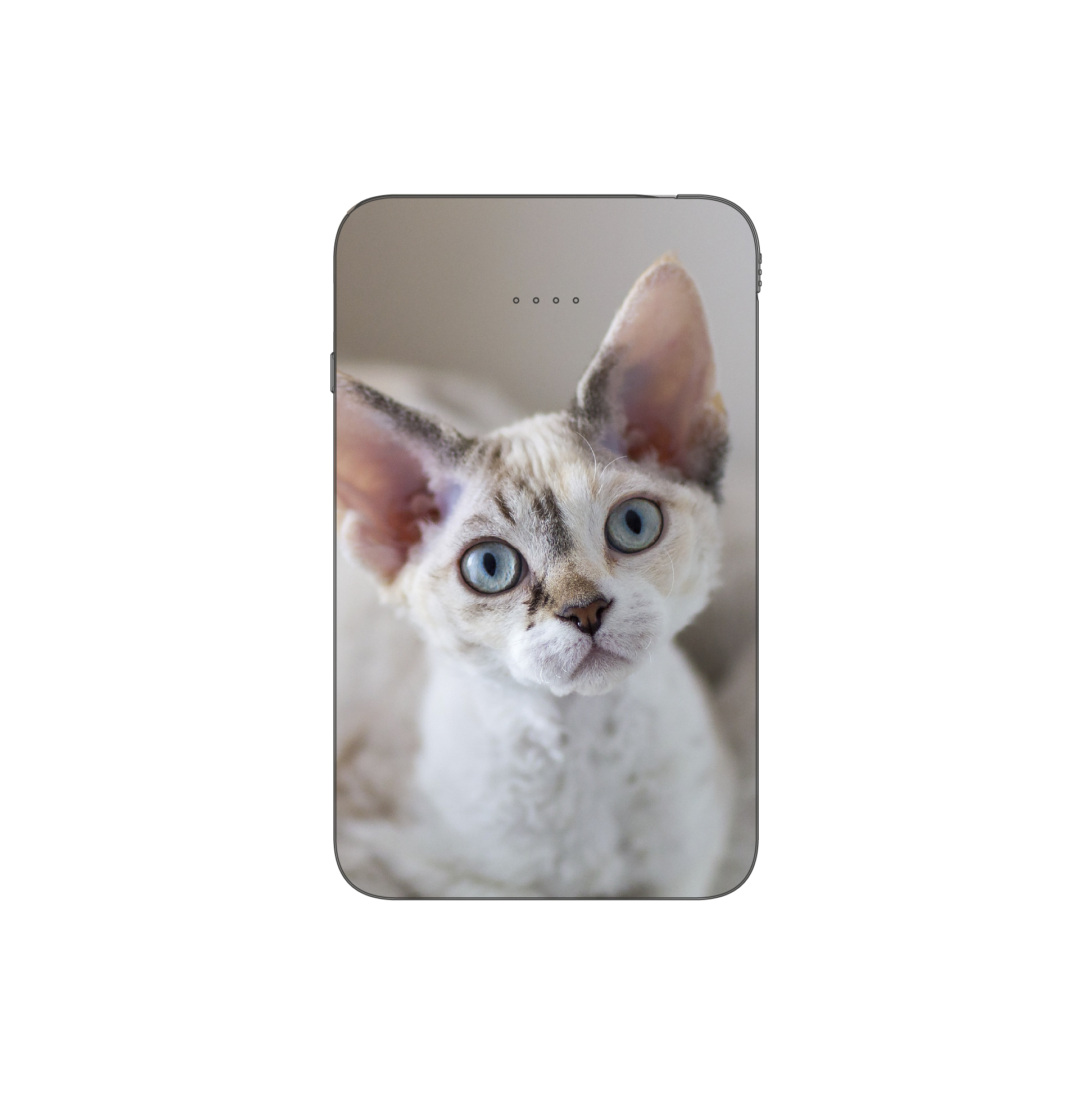 Batterie externe MANA Devon Rex