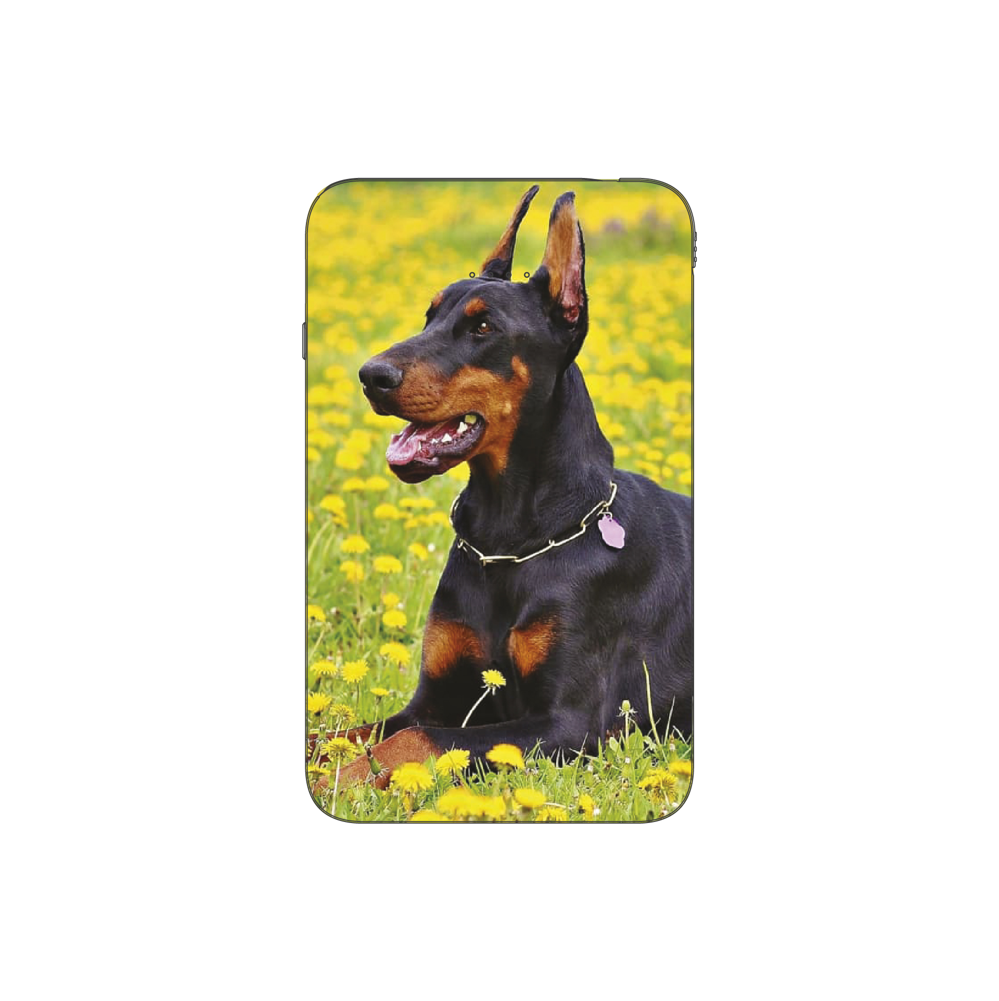 Batterie externe MANA Doberman