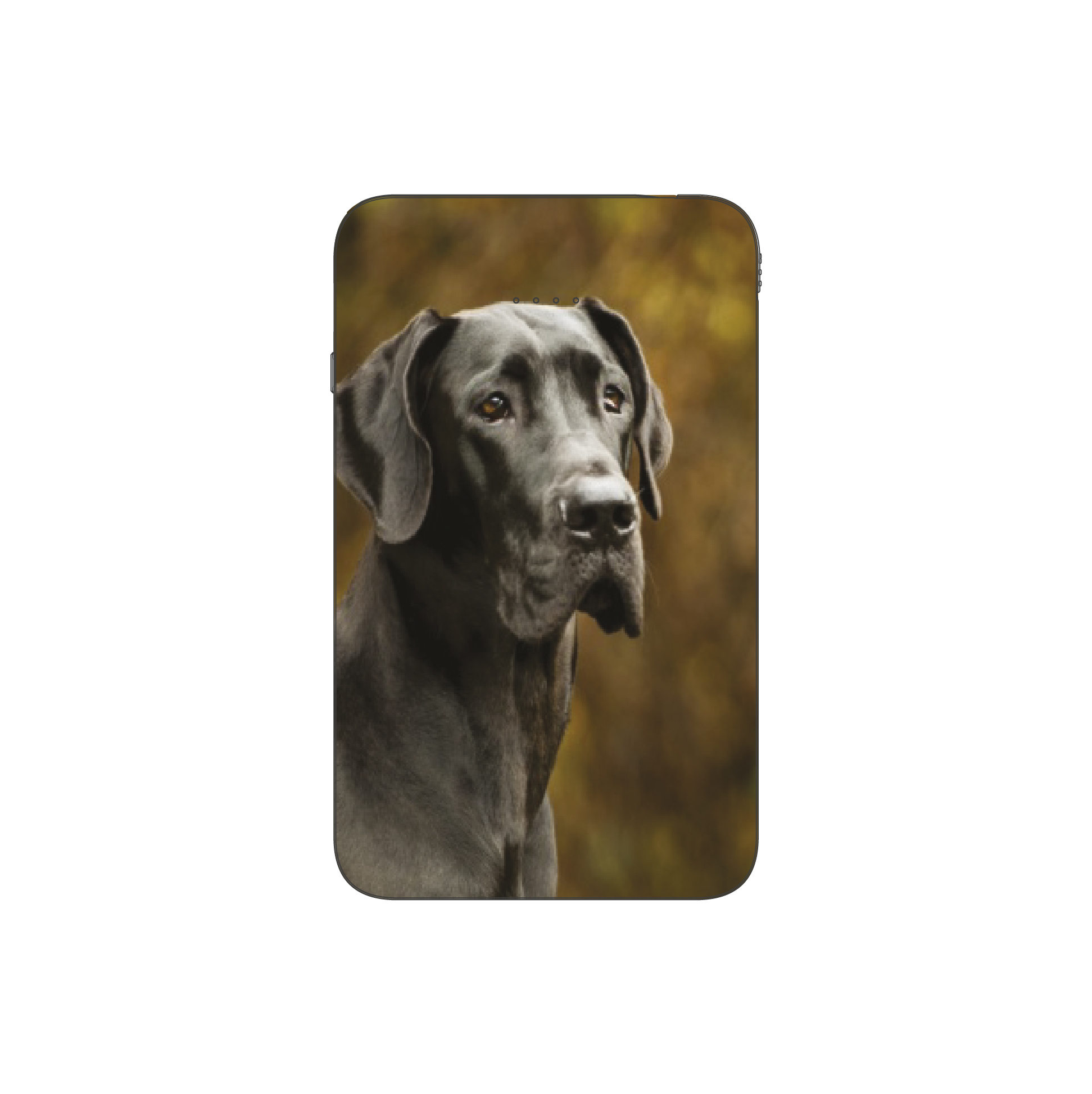 Batterie externe MANA Dogue Allemand