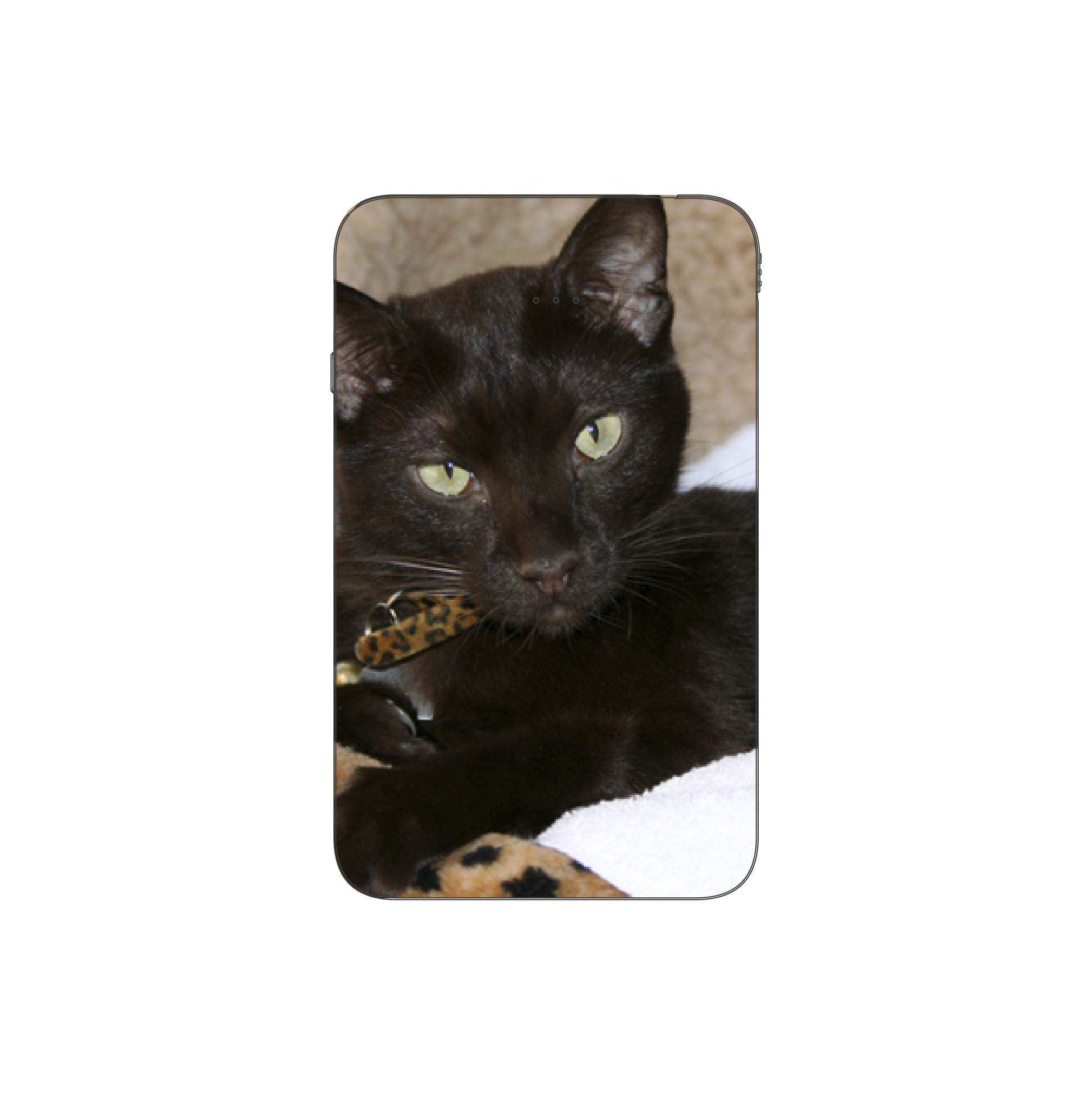 Batterie externe MANA Havana Brown