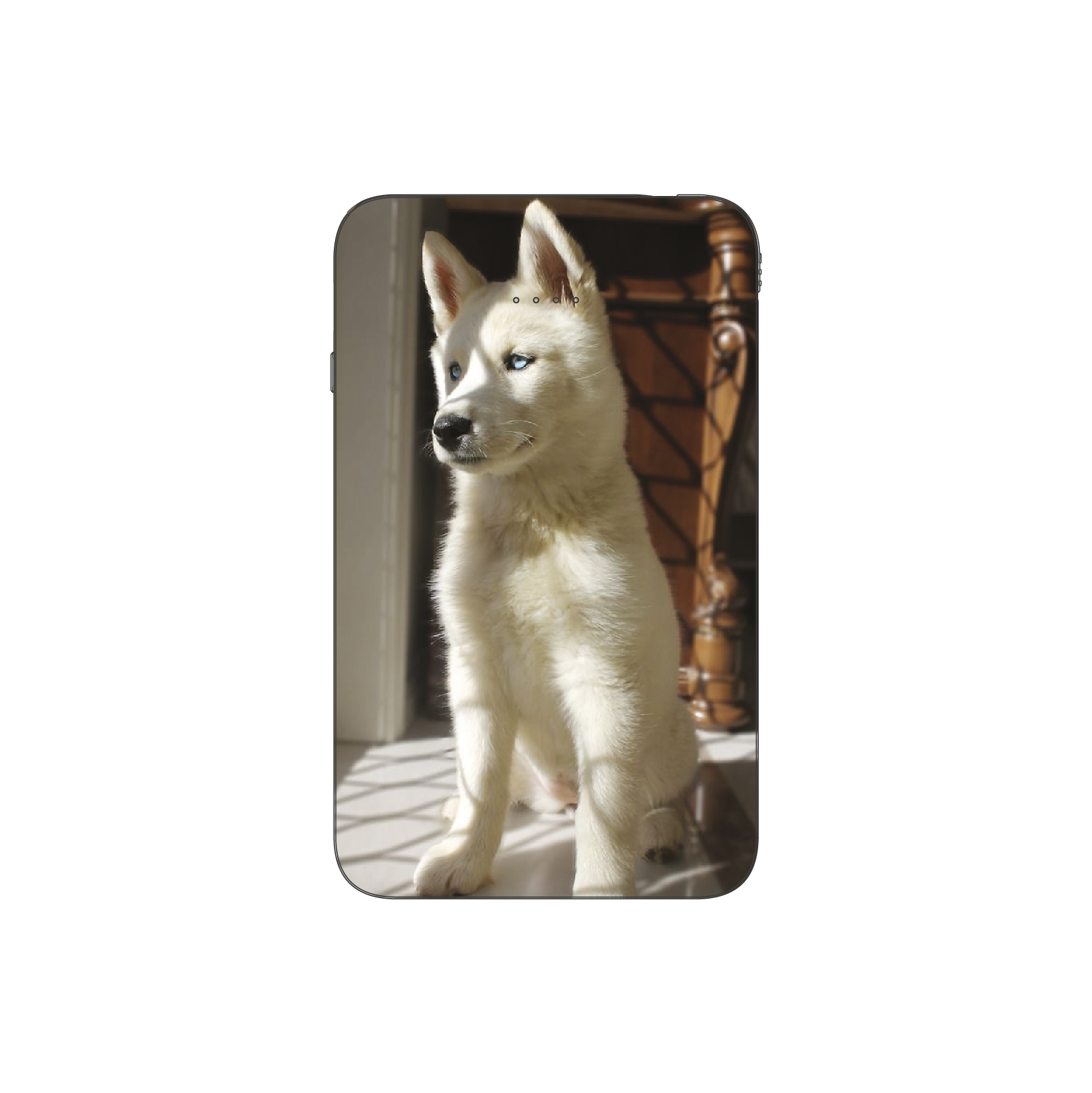 Batterie externe MANA Husky