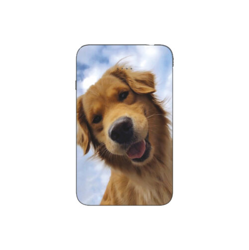 Batterie externe MANA Labrador