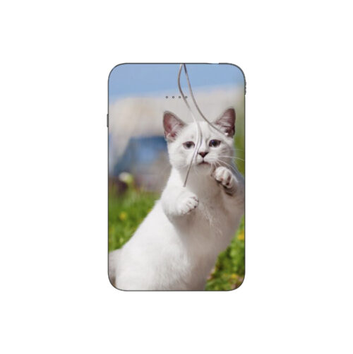 Batterie externe MANA Munchkin