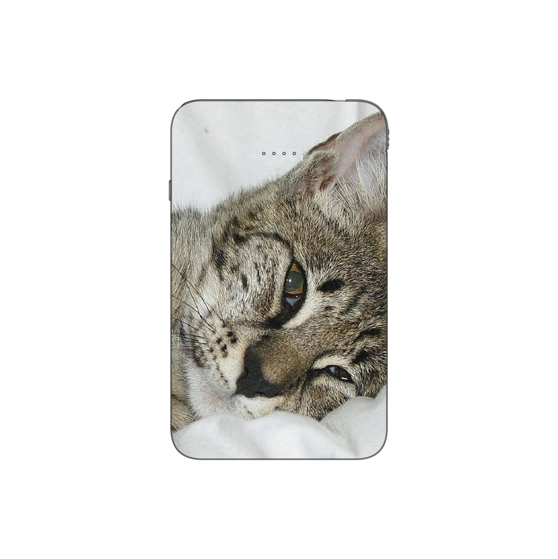 Batterie externe MANA Ocicat