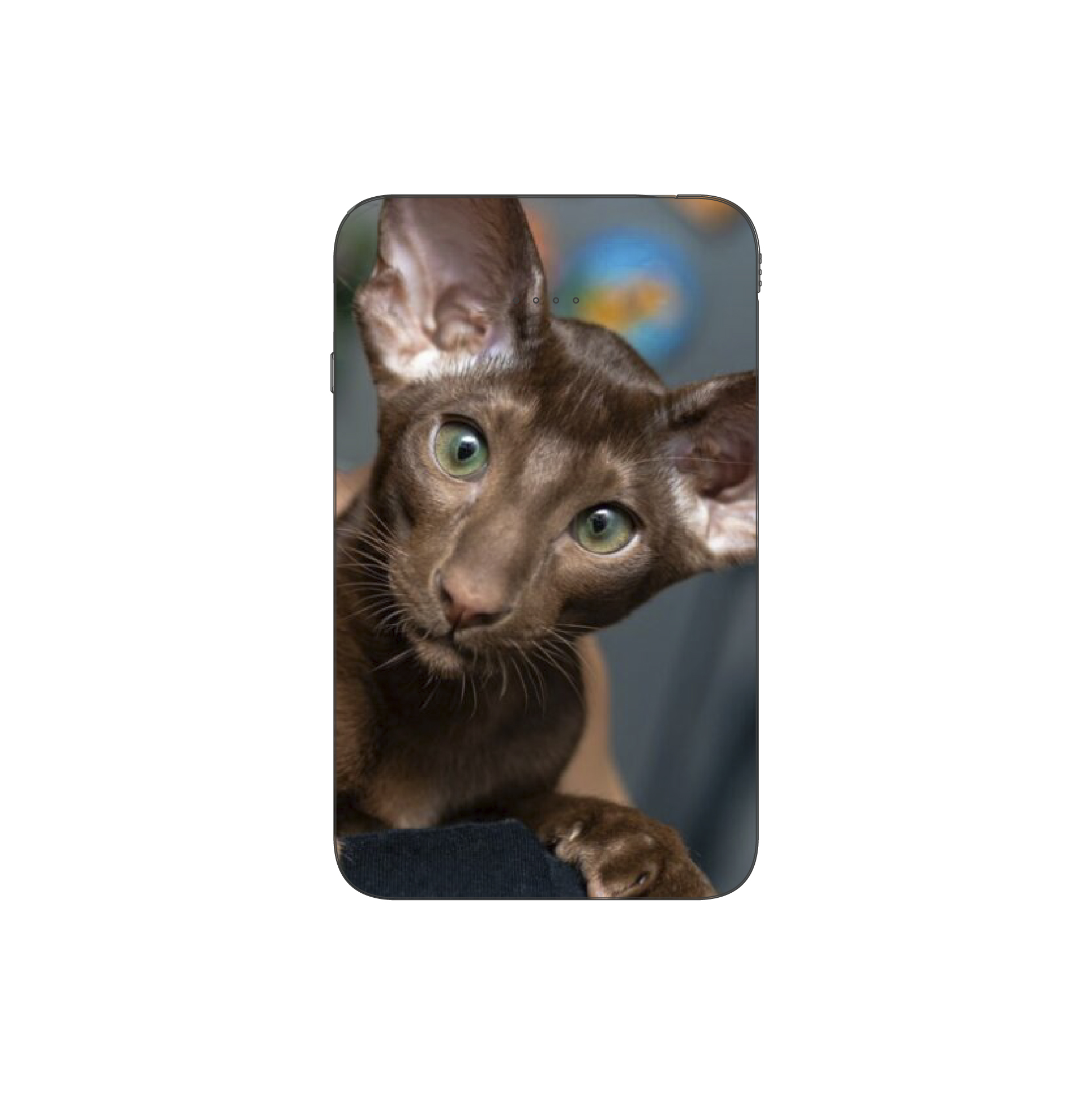 Batterie externe MANA Oriental Shorthair