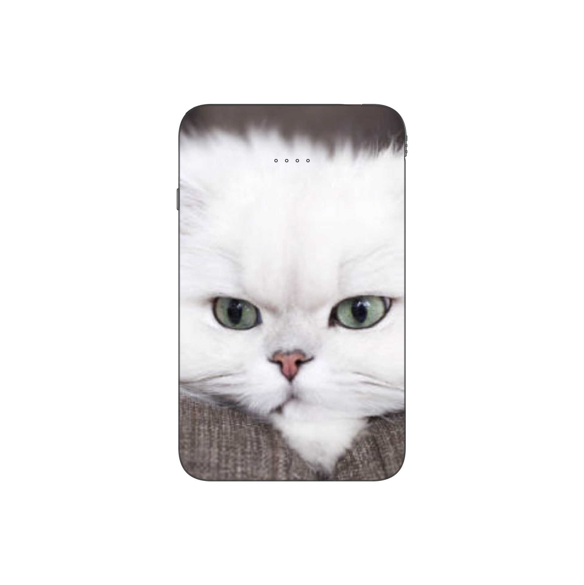 Batterie externe MANA Persan