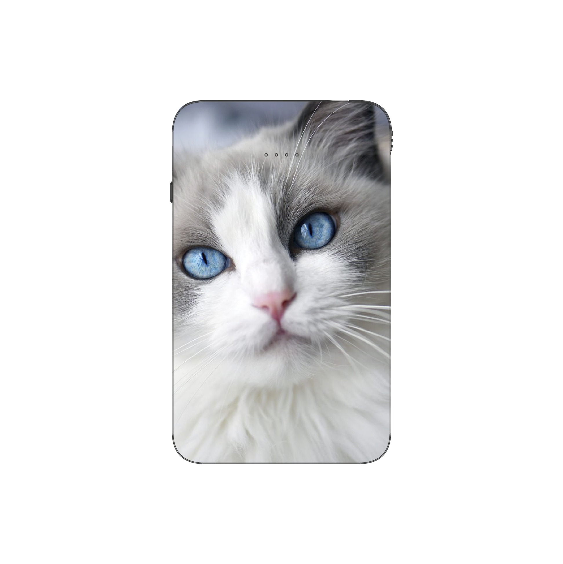 Batterie externe MANA Ragdoll