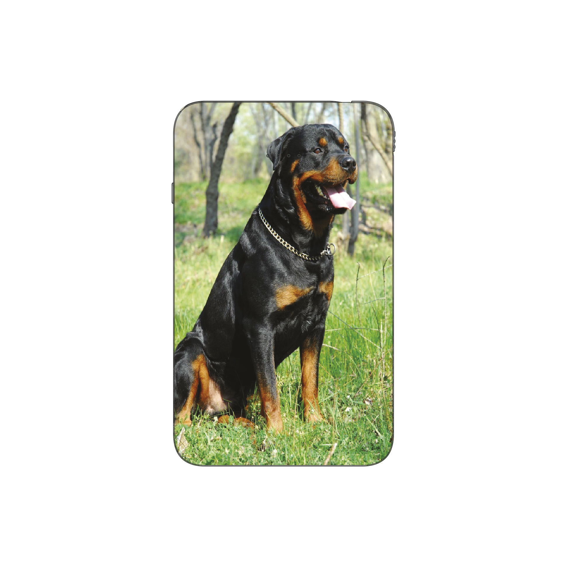Batterie externe MANA Rottweiler