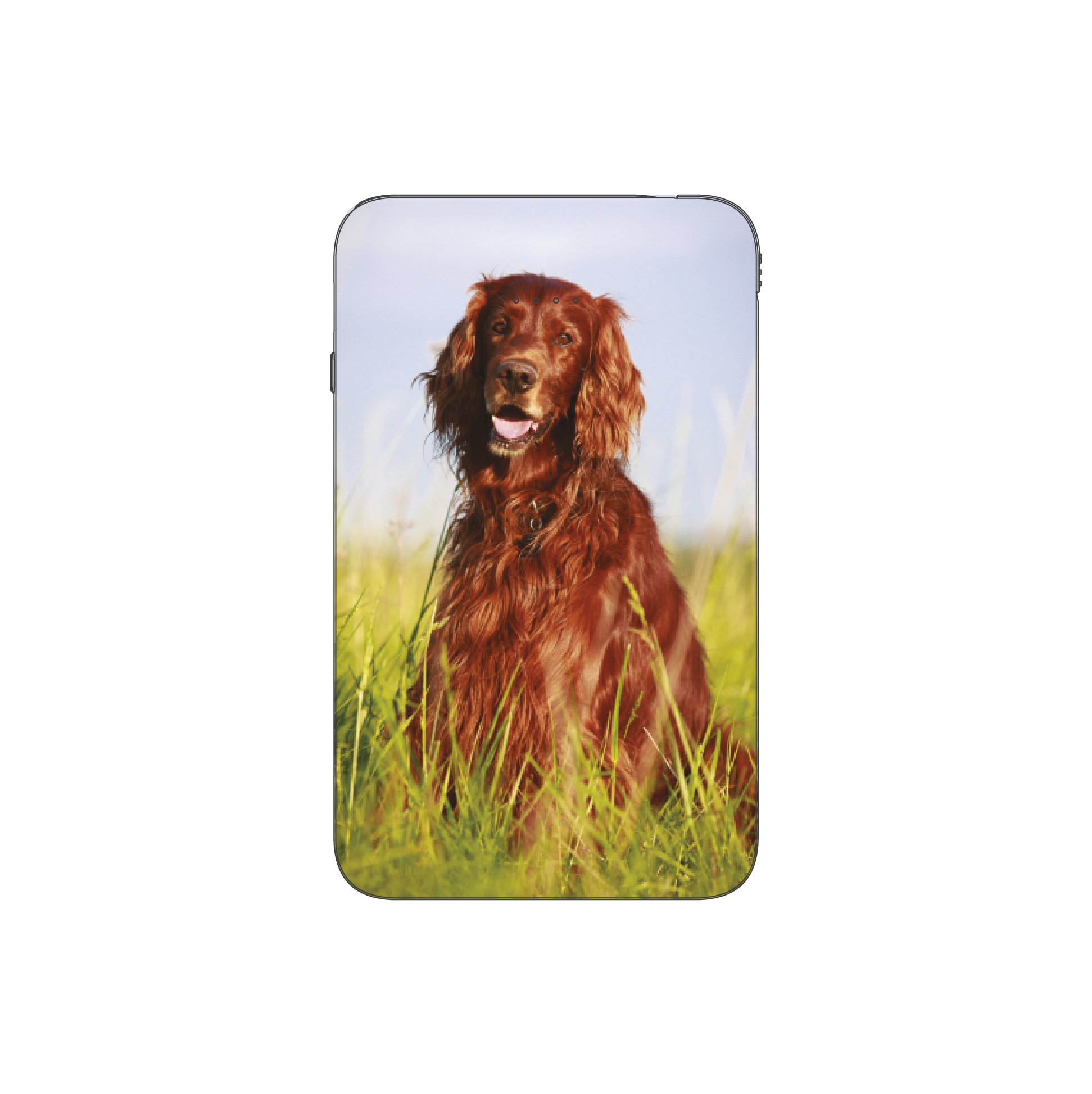 Batterie externe MANA Setter Irlandais