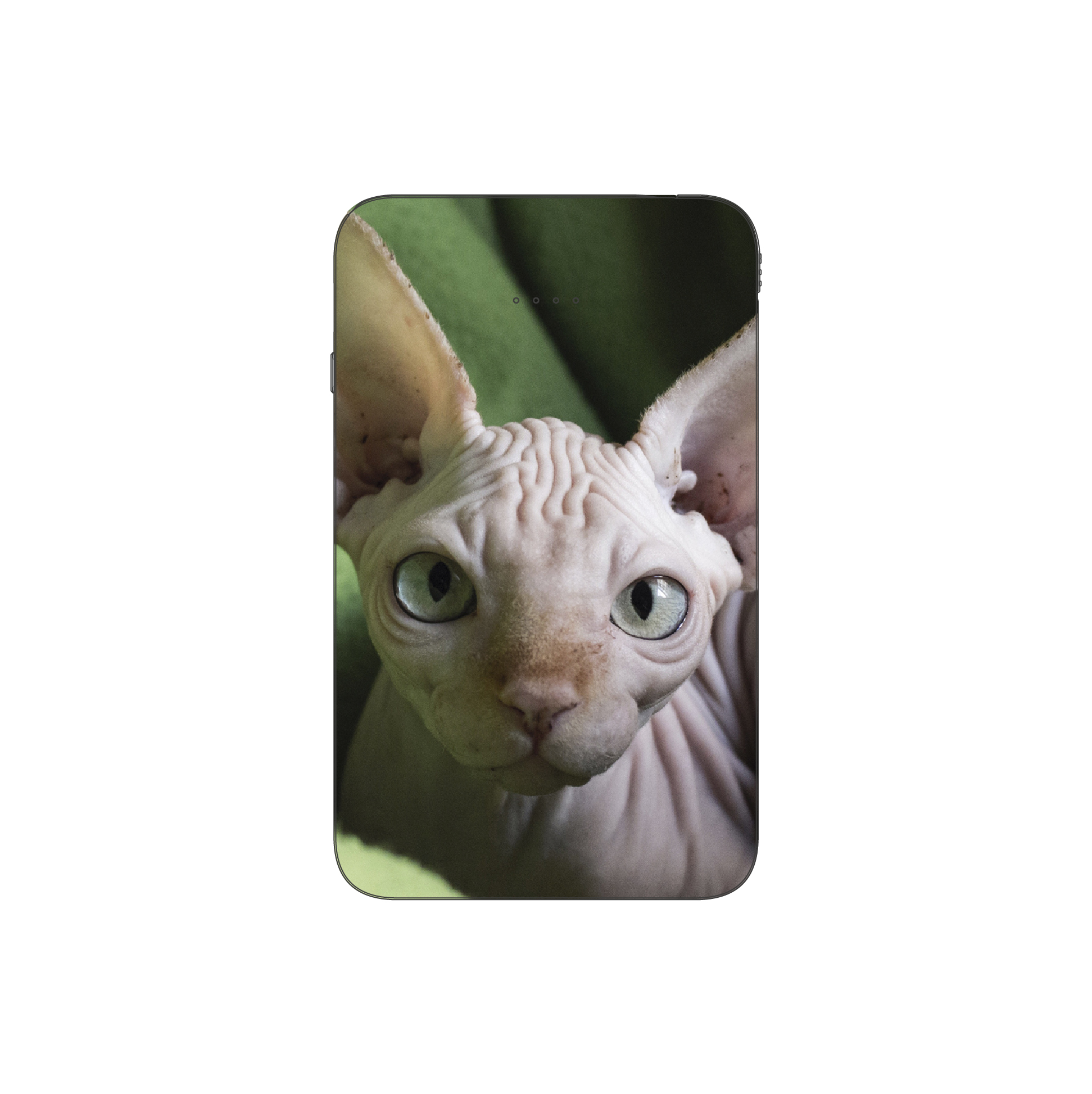 Batterie externe MANA Sphinx