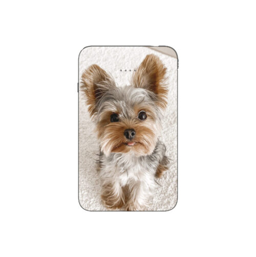 Batterie externe MANA Yorkshire Terrier